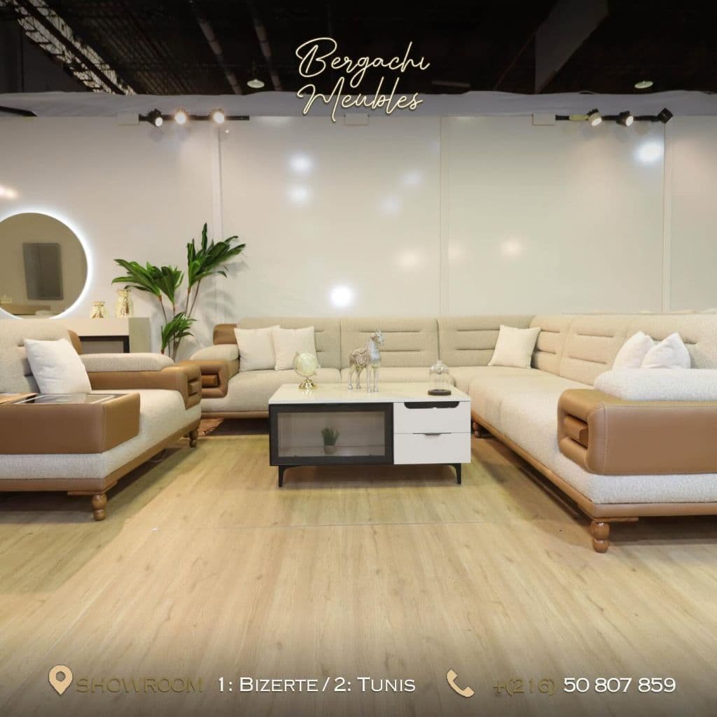 Salon Beige Bicolore